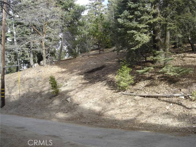 Twin Peaks, CA 92391,0 Pine TRL