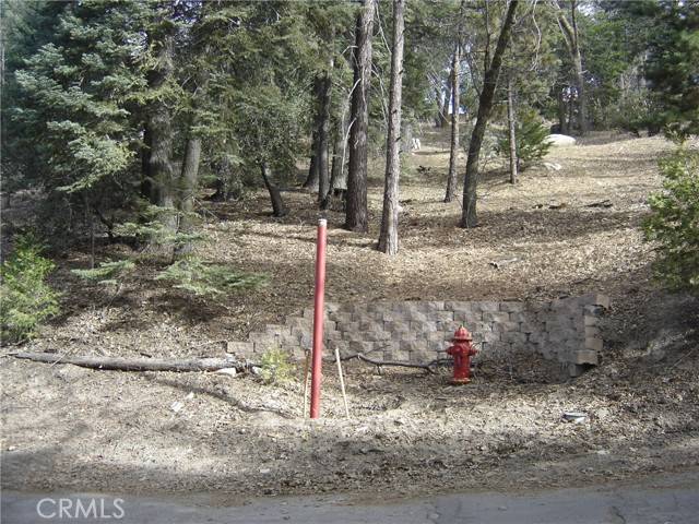 Twin Peaks, CA 92391,0 Pine TRL