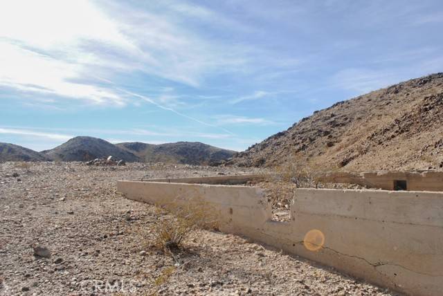 Twentynine Palms, CA 92277,0 Doberman