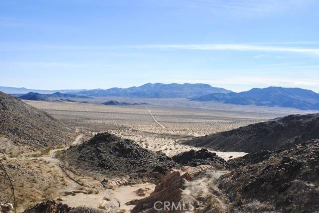 Twentynine Palms, CA 92277,0 Doberman