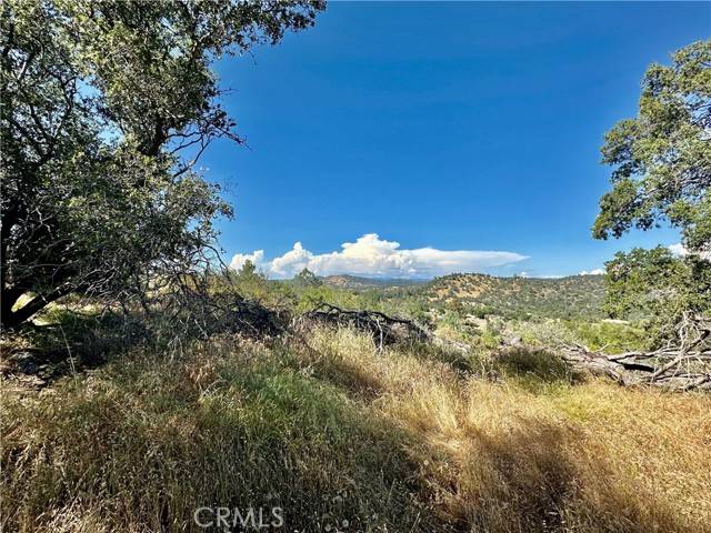 Coarsegold, CA 93614,0 4.02 AC Corral DR