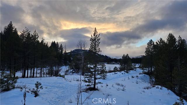 Truckee, CA 96161,11640 Mcclintock