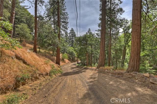 Cedarpines Park, CA 92322,110 Lots 110-123 Burnt Mill Canyon RD