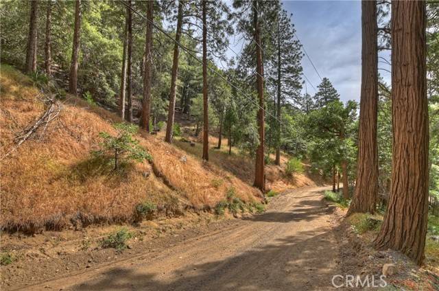 Cedarpines Park, CA 92322,110 Lots 110-123 Burnt Mill Canyon RD