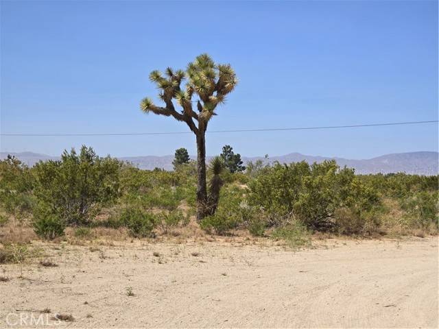 Mojave, CA 93501,0 Montiverde RD