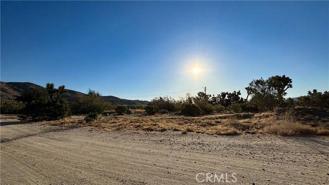 Yucca Valley, CA 92284,703 Scarvan RD