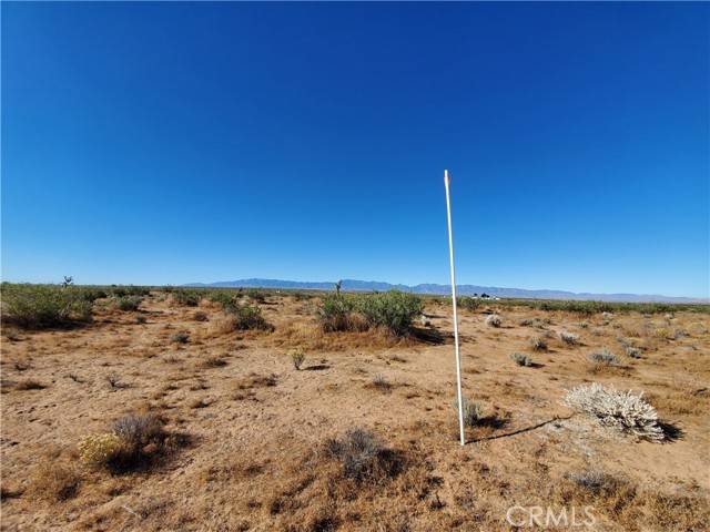 Lake Los Angeles, CA 93535,2 AC Ave L12