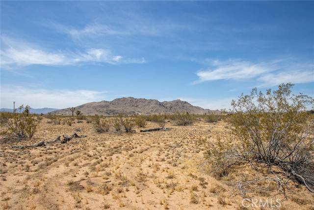 Joshua Tree, CA 92252,4444 Saddleback DR