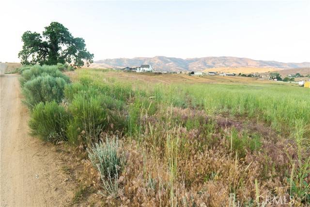 Tehachapi, CA 93561,219 Lot Lupine