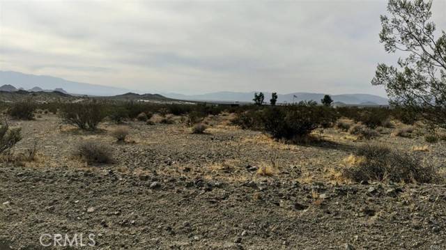 Lucerne Valley, CA 92356,800 Firethorn RD