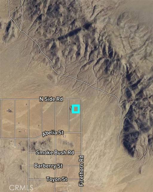 Lucerne Valley, CA 92356,800 Firethorn RD