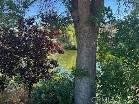 Clearlake Oaks, CA 95423,13218 Ebbtide