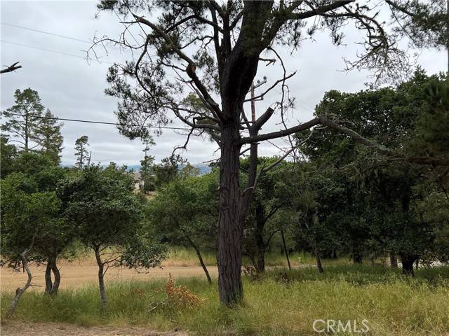 Cambria, CA 93428,0 Norton LN