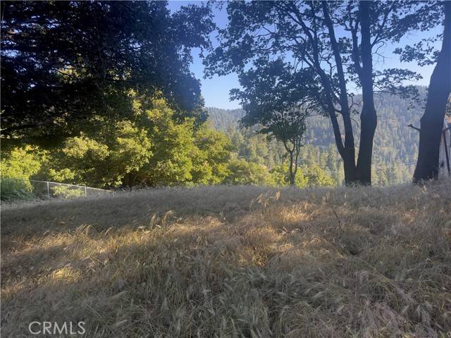 Crestline, CA 92325,0 Arth DR