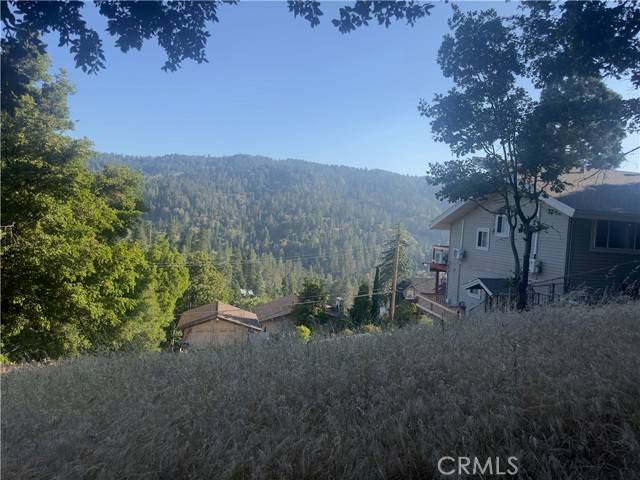 Crestline, CA 92325,0 Arth DR