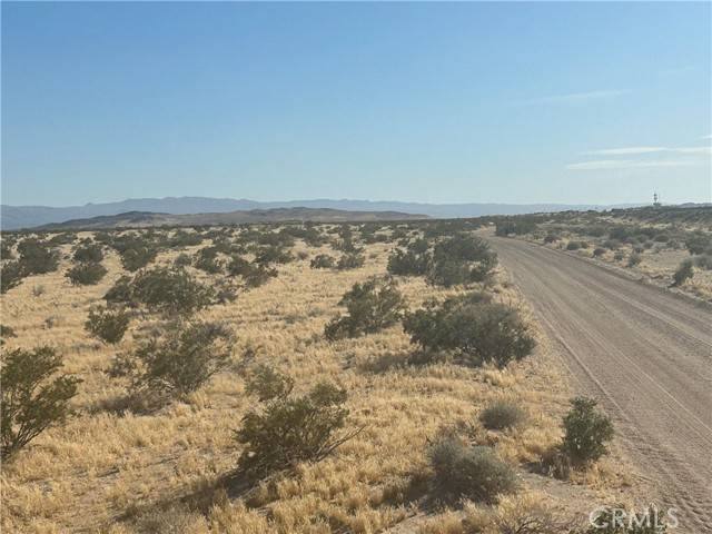 Newberry Springs, CA 92365,0 Harvard