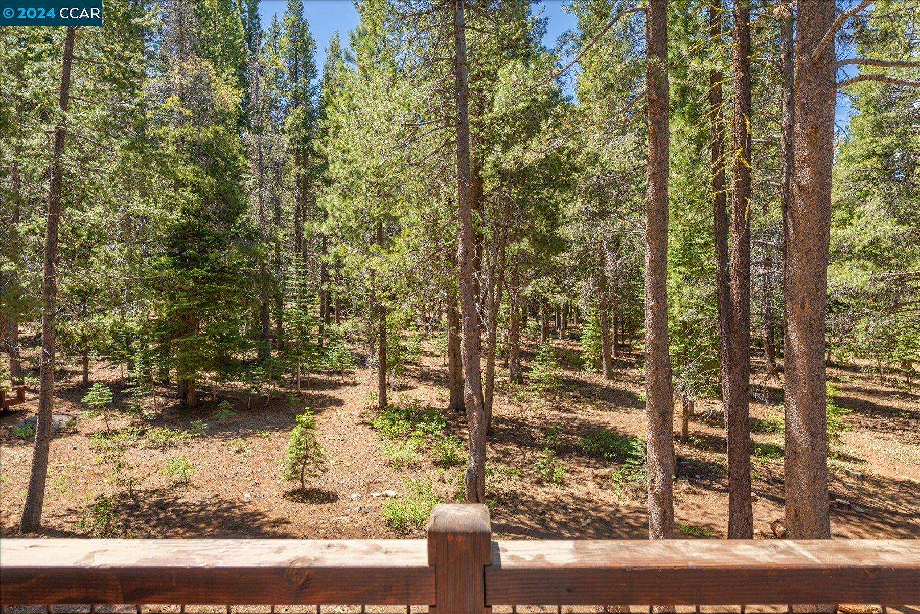 Truckee, CA 96161-1800,14375 Davos Dr