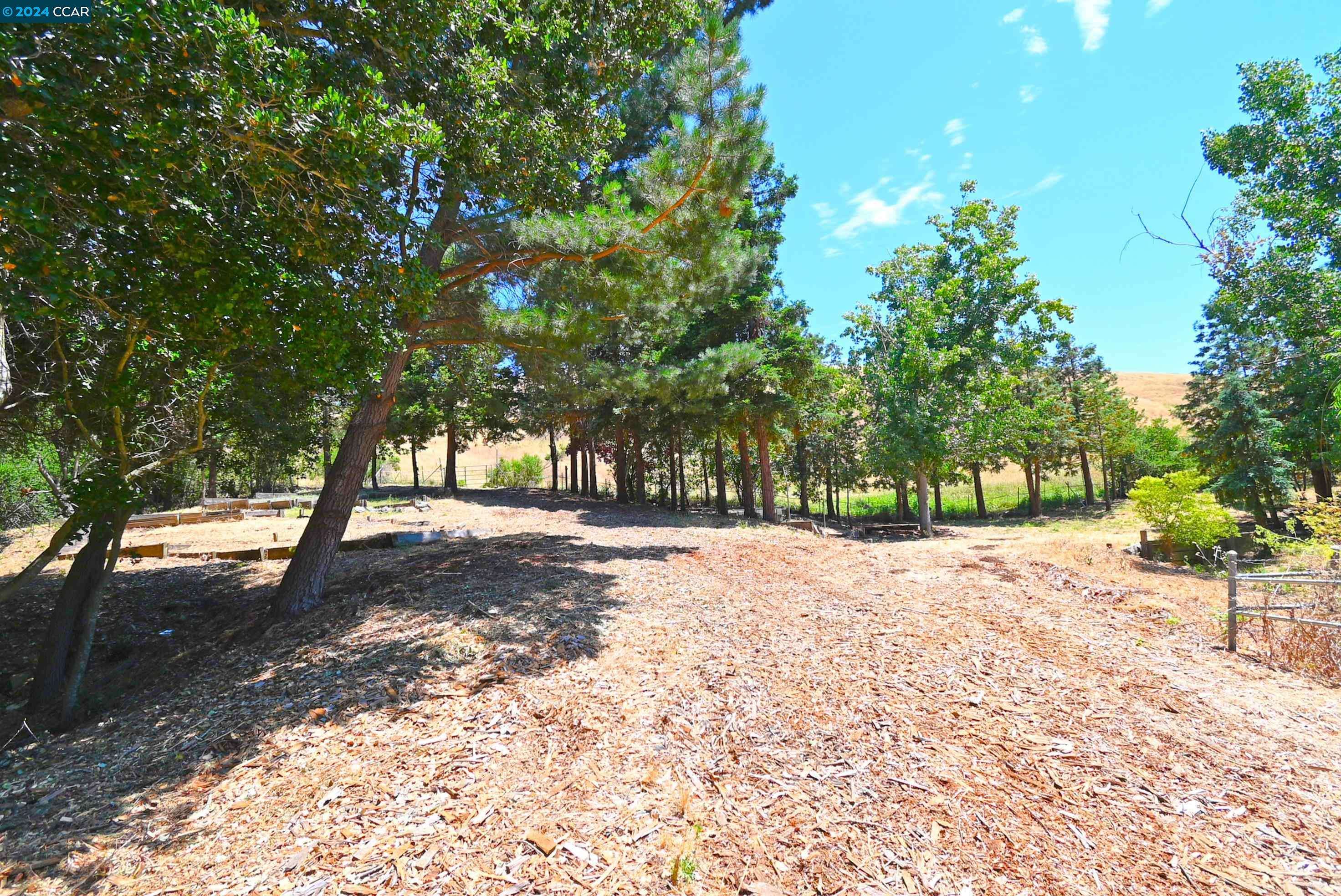 Moraga, CA 94556,5991/2 Rheem Blvd