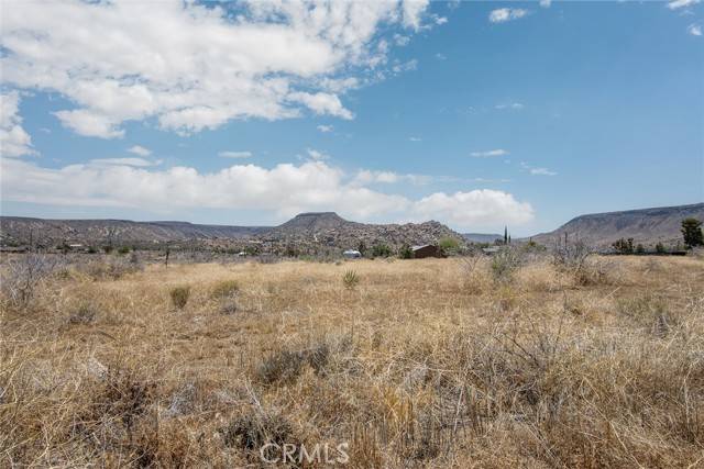 Pioneertown, CA 92268,3100 Bush AVE