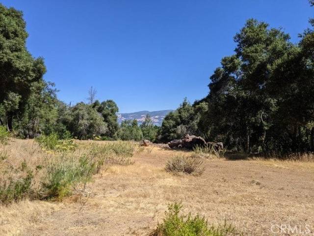 Kelseyville, CA 95451,6535 Pleasant CT