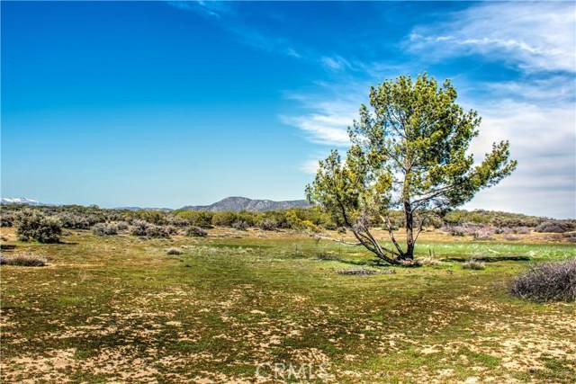 Anza, CA 92539,1 Table MTN