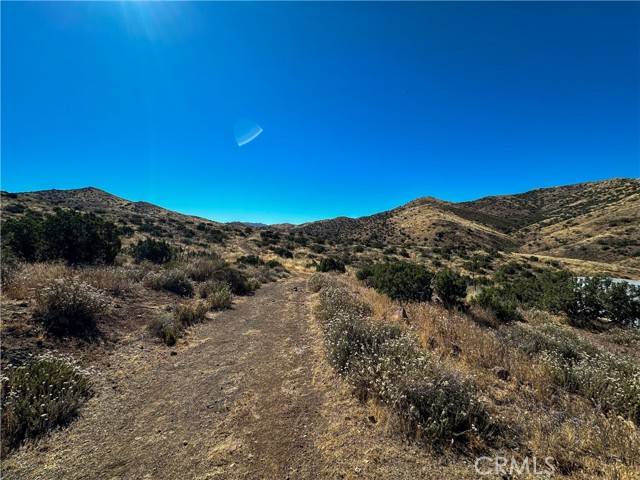 Agua Dulce, CA 91350,0 Big Springs RD