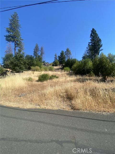 Middletown, CA 95461,11460 Rose Anderson RD