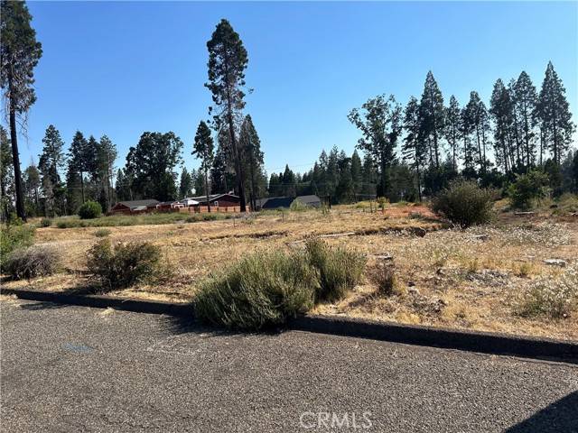 Magalia, CA 95954,13915 Chestnut CIR