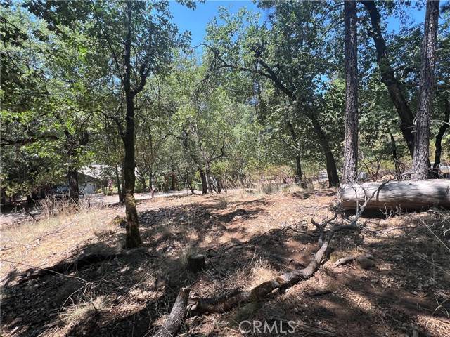 Cobb, CA 95426,16330 Manzanita CT