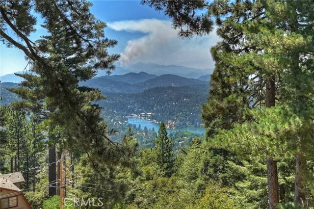 Twin Peaks, CA 92391,824 Pine TRL