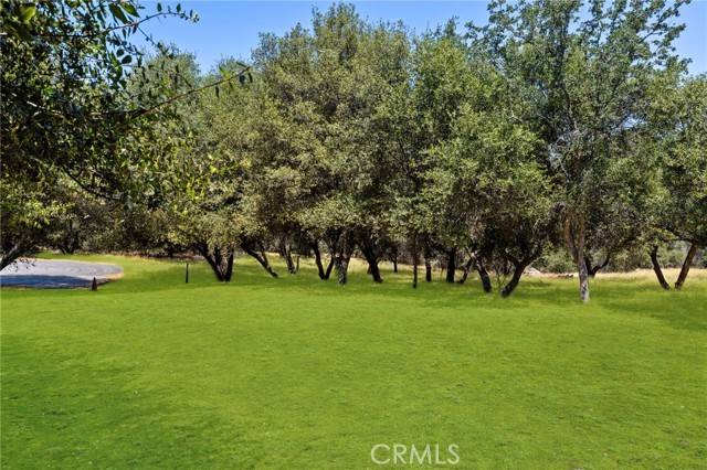 Keene, CA 93531,1 Kirkham CT