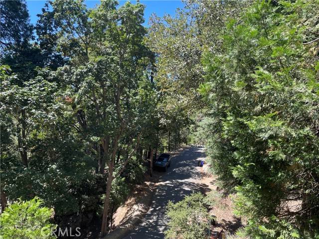 Crestline, CA 92325,150 Lot 150 Berne DR