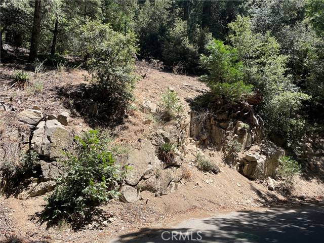 Crestline, CA 92325,150 Lot 150 Berne DR