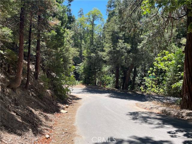 Crestline, CA 92325,150 Lot 150 Berne DR