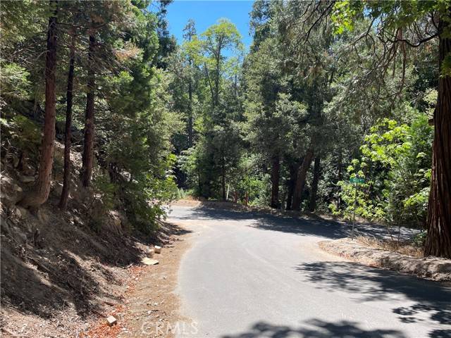 Crestline, CA 92325,150 Lot 150 Berne DR