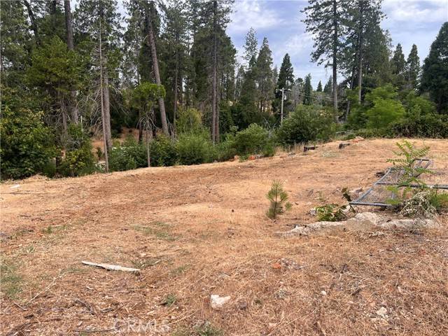 Paradise, CA 95969,1770 Forest Glen RD