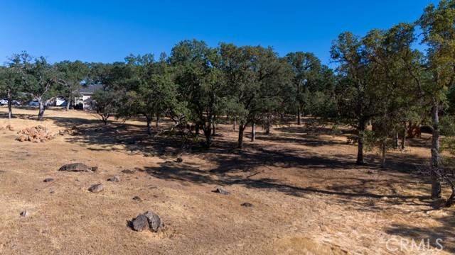 Hidden Valley Lake, CA 95467,19697 Donkey Hill RD