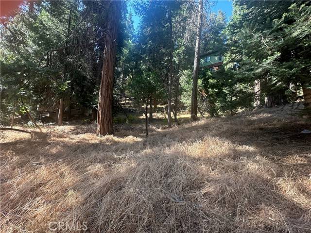 Crestline, CA 92325,0 Valle DR