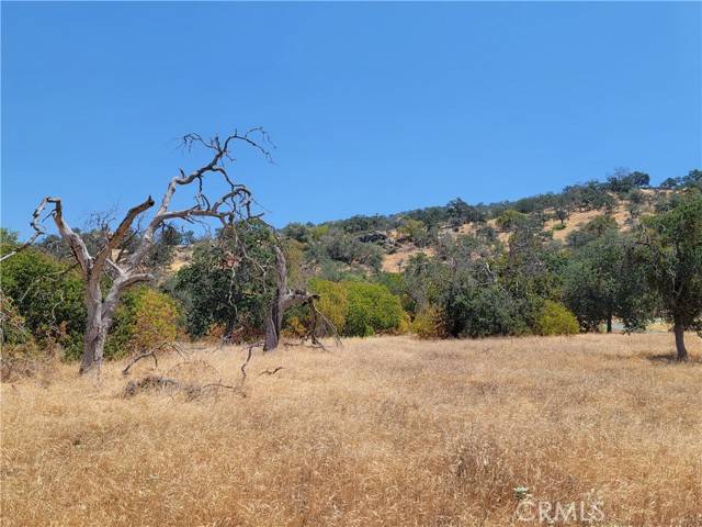 Squaw Valley, CA 93675,0 Clover LN