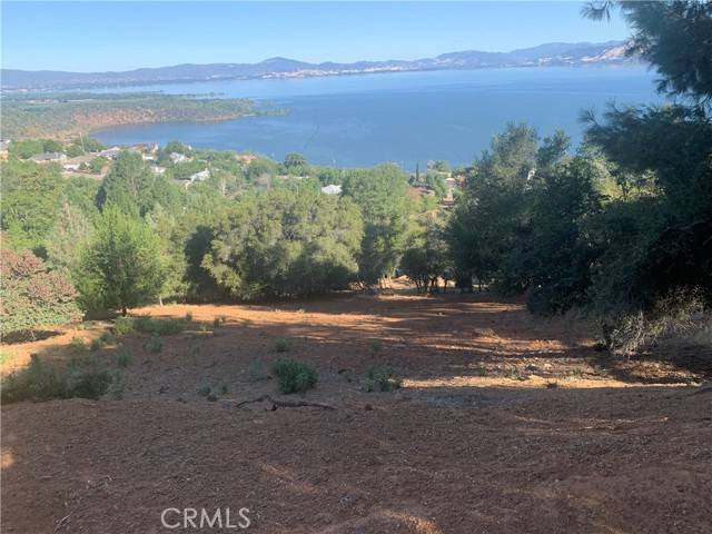 Kelseyville, CA 95451,3139 Skyline DR