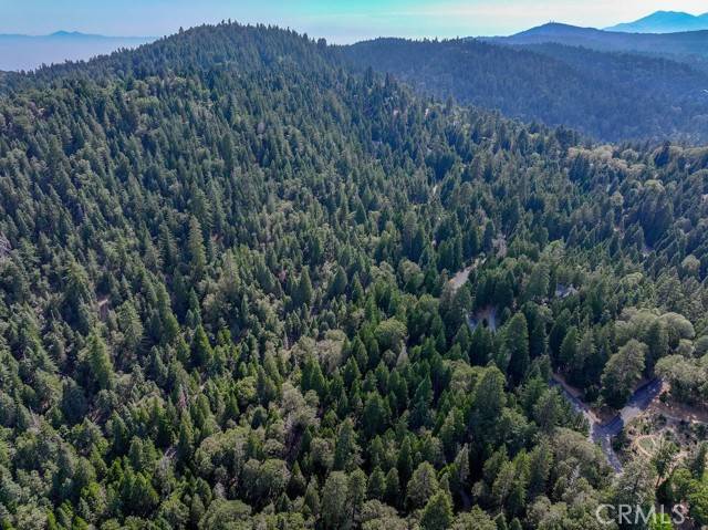 Lake Arrowhead, CA 92352,29183 Pigeon Hawk LN