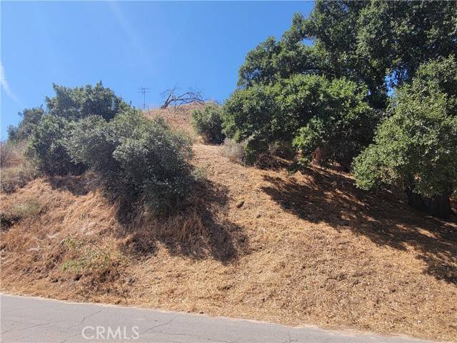 Castaic, CA 91384,0 Hunstock ST