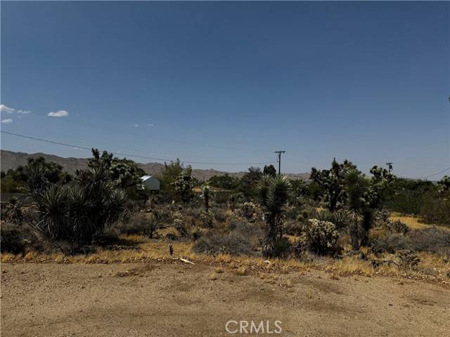 Yucca Valley, CA 92284,0 Piute