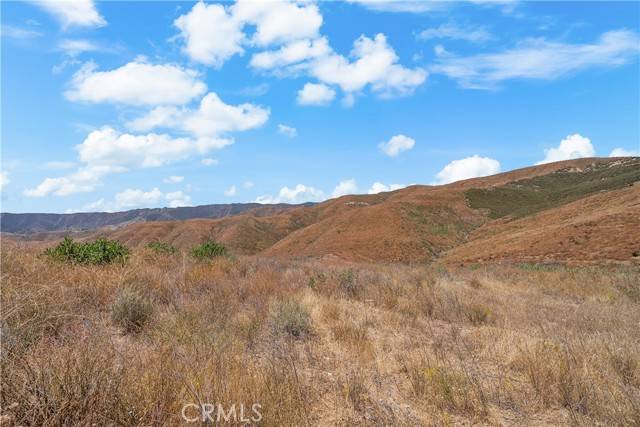 Castaic, CA 91384,0 Ridge Route RD