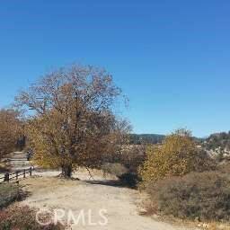 Cedar Glen, CA 92321,718 Cypress RD