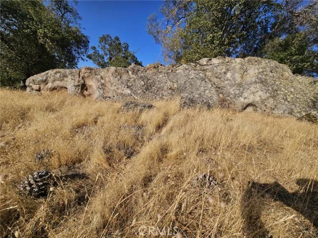 Coarsegold, CA 93614,0 Corral DR