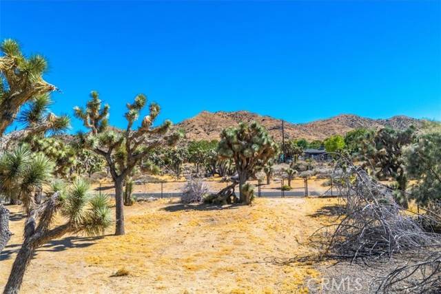 Yucca Valley, CA 92284,0 Hidden Gold DR