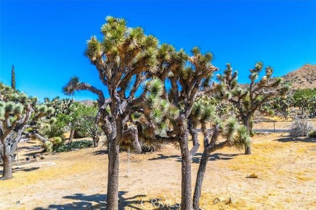 Yucca Valley, CA 92284,0 Hidden Gold DR