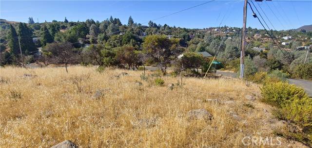 Kelseyville, CA 95451,9911 Emerald DR