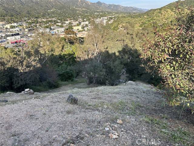 Tujunga, CA 91042,9832 High Top DR